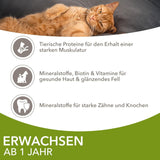 IAMS Delights Land Collection Hrană umedă pentru pisici - Pachet multiplu cu varietăți de carne (miel, vită, pui și curcan) în sos, hrană umedă pentru pisici de la 1 an, 12 x 85g