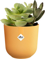 elho Jazz Round Mini 7cm - Ghiveci de flori de interior - Plastic 100% reciclat - Ø 7 x H 6,5 cm - Galben/Chihlimbar