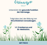 Almo Nature Functional Urinary Help - Nassfutter für ausgewachsene Katzen mit Fisch - Unterstützung für die Gesundheit der Harnwege - 30 Beutel à 70g