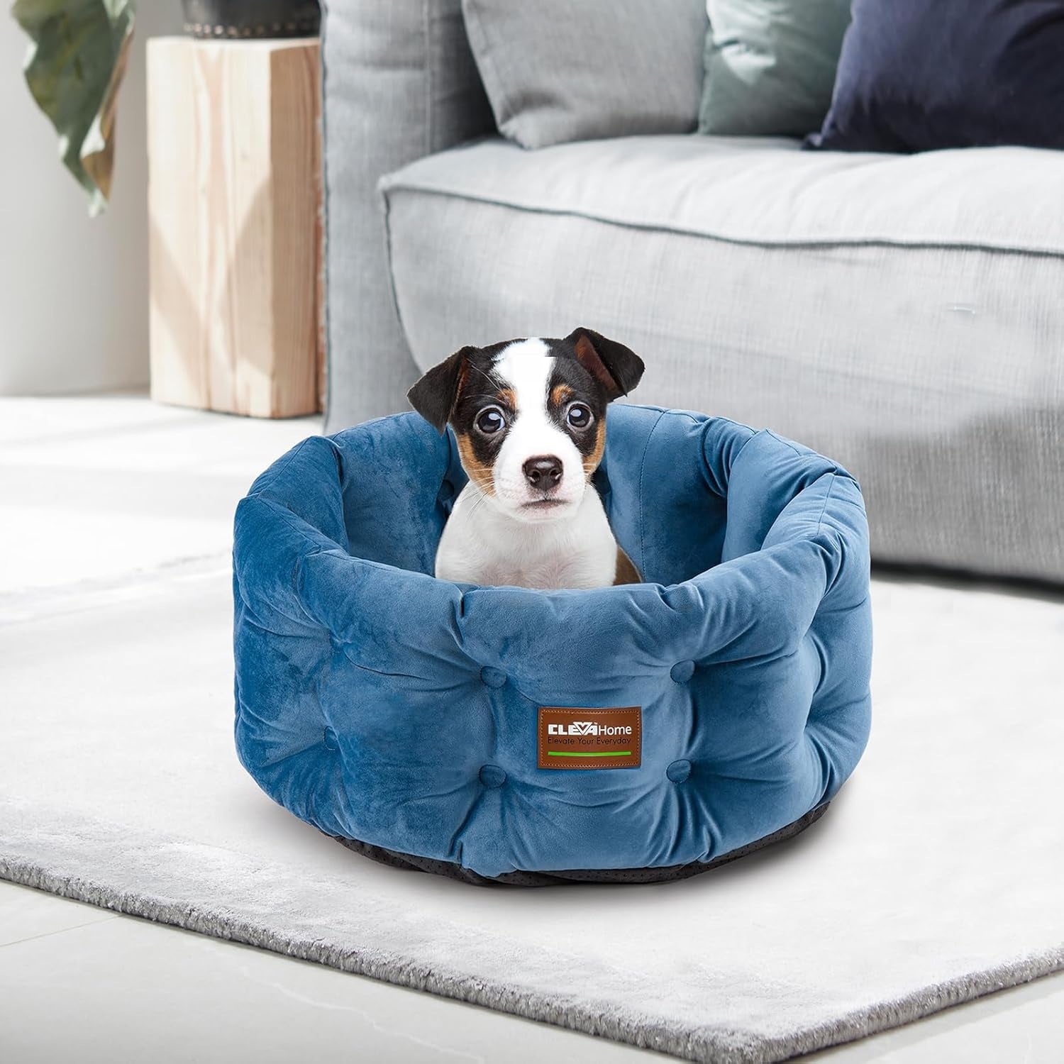 Paturi & Canapele, Pături & Mobilier, Animale de companie, Pisici, Paturi pentru pisici, Pisici - culcusuri, saltele