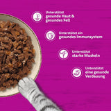 WHISKAS PURE DELIGHT Hrană umedă în jeleu 24 x 85g Ragout clasic (4 pachete) 48 pliculețe porționate