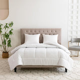 Good Nite Winter Duvet 200X200 Cm 460Gsm Plapumă caldă pentru lenjerie de pat de iarnă Plapumă matlasată cu umplutură din poliester Microfibre Pătură de dormit alb 200X200Cm Plapumi si pilote Naty Shop