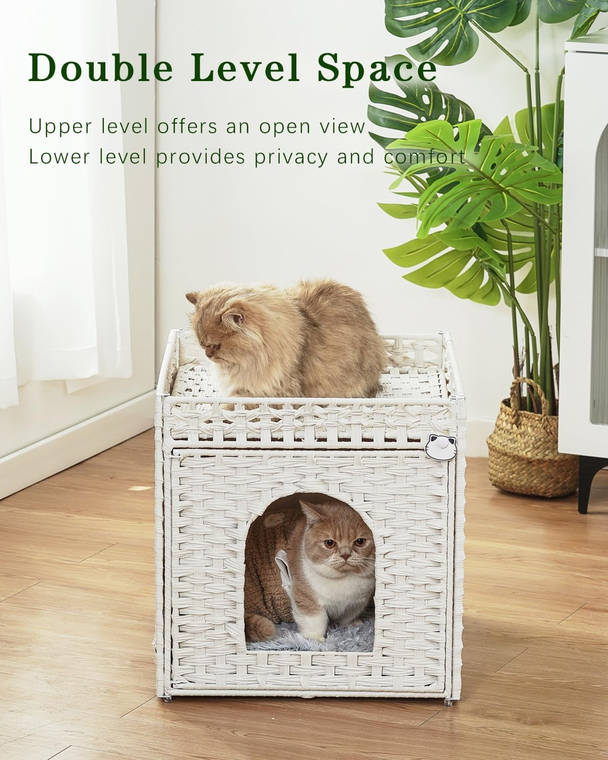 Pături & Mobilier, Animale de companie, Peșteri & Case, Pisici, Paturi pentru pisici, Pisici - culcusuri, saltele
