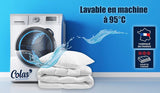 COLAS NORMAND Plapumă caldă, lavabilă la 95°C, 240 X 220 Cm, durabilă, microfibră, moale, mătăsoasă și confortabilă, fabricată în Franța, albă Plapumi si pilote Naty Shop
