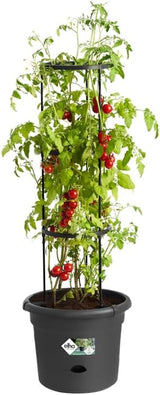 elho Green Basics Ghiveci de roșii 33 - Ghiveci de flori pentru cultivare și recoltare în aer liber - Ø 33,5 x H 26,0 cm - Negru/Negru viu