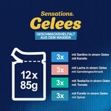 Felix Sensations Hrană umedă pentru pisici în jeleu, mix variat de pește, pachet de 6 (6 x 12 pliculețe a câte 85 g fiecare)