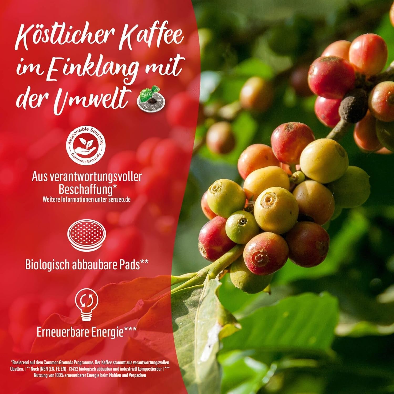 Senseo Pads Guten Morgen Strong XL, 5 x 10 Getränke, 50 Kaffeepads