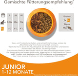 IAMS Delights Kitten Nassfutter - Multipack Katzenfutter mit Huhn in Sauce, hochwertiges Futter für Junior Kätzchen von 1-12 Monate, 12 x 85 g