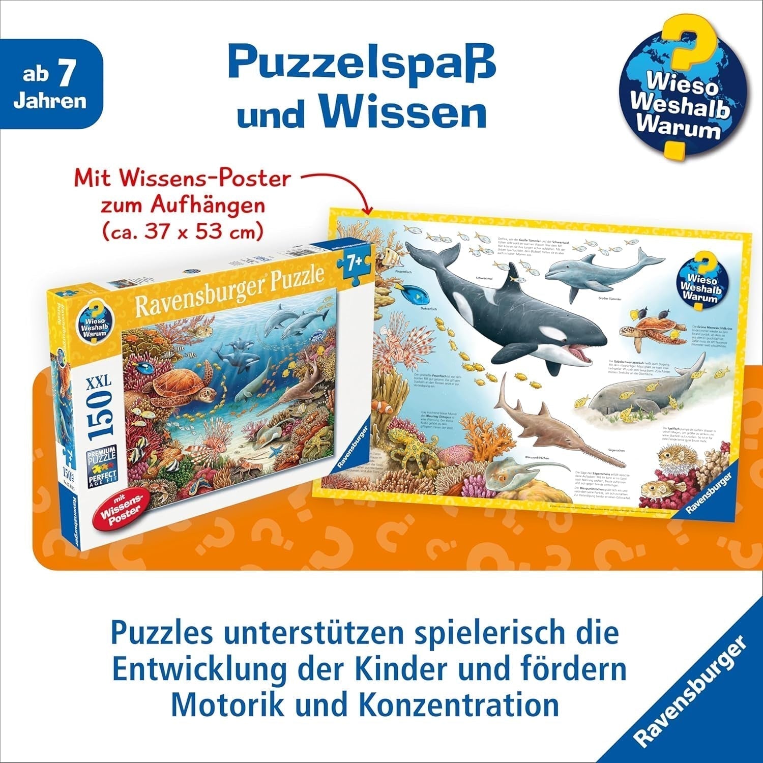 Ravensburger children's puzzle 13411 - Creaturi marine pe reciful de corali - De ce? De ce? De ce? Puzzle 150 piese XXL + poster de cunoștințe, pentru copii de la 7 ani Puzzle Naty Shop