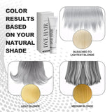 Vopsea de păr Grey Silver Vopsea de păr Silver Grey Vopsea de păr Silver Natural Unisex Vopsea de păr Light Gray Silver Color Cream pentru toate tipurile de păr（100ml） Vopsea pentru par Naty Shop