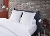Pernă împotriva acarienilor și gândacilor de pat, 60 X 60 cm, confort mediu, pernă Multi Protect, moliciune și protecție, lavabilă la mașină la 40 °C Perne standard Naty Shop Titlu implicit