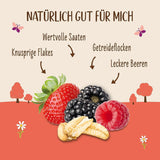 Allos Hof Granola cu fructe de pădure | Muesli organic | Muesli cu fructe de pădure | Muesli crocant | Cereale pentru micul dejun | Pachet de 6 (6 x 300g), 1 bucată (pachet de 6)
