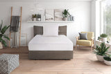 Pernă de puf Traumnacht comfort cu umplutură de puf de înaltă calitate și capac rezistent la puf din bumbac 100%, certificat Oeko-Tex, 80 X 80 cm, produs în conformitate cu standardul de calitate german Perne standard Naty Shop