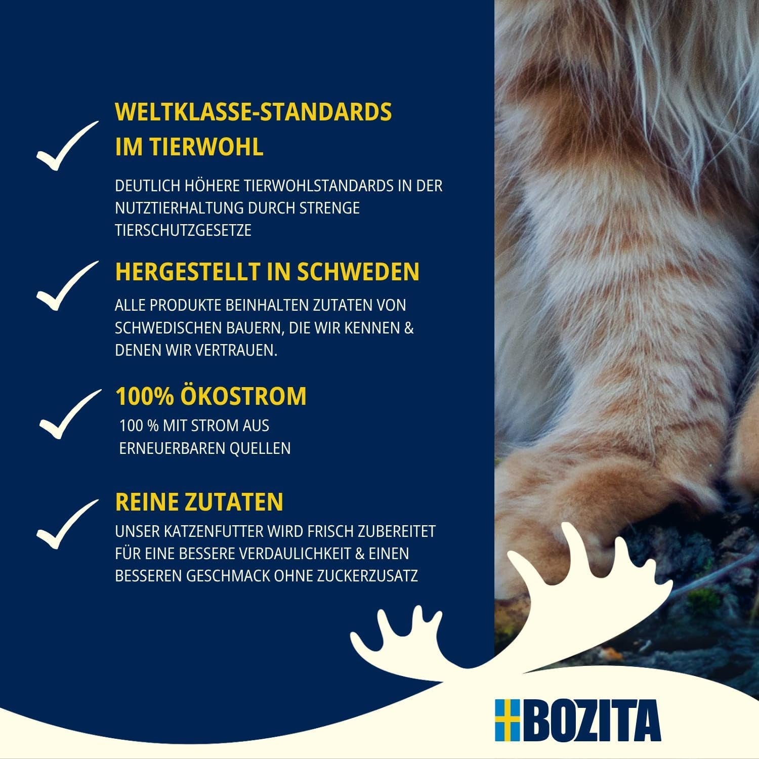 Bozita Mousse MSC Salmon – 12 x 85 g hrană umedă pentru pisici cu textură fină de mousse și somon – rețetă fără cereale, fără zahăr adăugat sau coloranți – cu postbiotice pentru susținerea florei intestinale