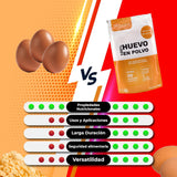Eipulver aus Freilandeiern (1 kg) | Pasteurisiertes Vollei Pulver | Ohne Zusatzstoffe | Glutenfrei & laktosefrei | Vakuumverpackung im Zip-Beutel