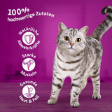 Hrană umedă Whiskas 1+ pentru pisici cu pui în jeleu, 28x85g (1 pachet) – Hrană umedă de înaltă calitate pentru pisici adulte în pliculețe cu 28 de porții