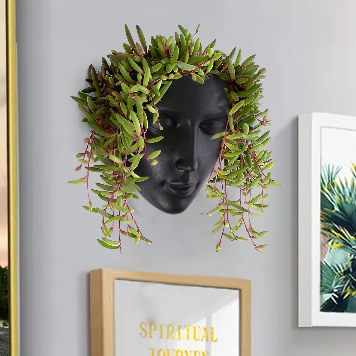 Jardinieră Notakia cu față, montată pe perete, pentru uz interior și exterior, cu drenaj, pentru suculente, cactuși și plante mici, decorațiune unică pentru casă, cadou pentru prieteni și familie
