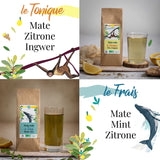 SET CADOU ORIGEENS CEAI MATE BIO X4 I Yerba Mate Bio 4X80G I Set ceai Yerba Mate, idee cadou
