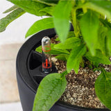Jardinieră LECHUZA Classico Color LS gri ardezie cu sistem de irigare |Ø 35 × 32 cm|14281