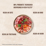 Shelma Hrană umedă pentru pisici Megapack cu carne de vită, curcan, pui și rață – Hrană completă fără cereale cu conținut ridicat de carne – 40 x 85 g (3,4 kg)