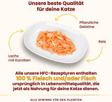 Almo Nature HFC Jelly - Hrană umedă pentru pisici adulte - Somon și Morcovi - Calitate umană, Fără gluten - 6 x 70g