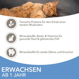 IAMS Delights Sea Collection Katzenfutter Nass - Multipack mit Fisch Sorten (Lachs, Thunfisch, Makrele, Seefisch) in Sauce, Nassfutter für Katzen ab 1 Jahr, 12 x 85g