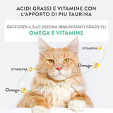 Silver, Pui cu Mousse de Rață și Fileuri, Hrană Umedă Completă pentru Pisici Senior, Fără Cereale, Suport Imunitar, Sursă de Umiditate, 12 x 70g