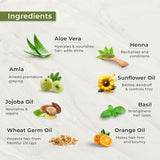 Indus Valley Natural Damage Free Gel Hair Colour | Fără amoniac, vegan și fără cruzime | Până la 100% acoperire gri, rezultate de lungă durată | Castaniu deschis 5.0 (20 gram + 200 ml) Vopsea pentru par Naty Shop
