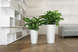 Jardinieră LECHUZA Rondo Premium 32 Alb Mat | Coloană pentru plante cu sistem de udare, indicator al nivelului apei și insert pentru plante | Finisaj mat | Ø 32,5 x 56,5 cm | 15786