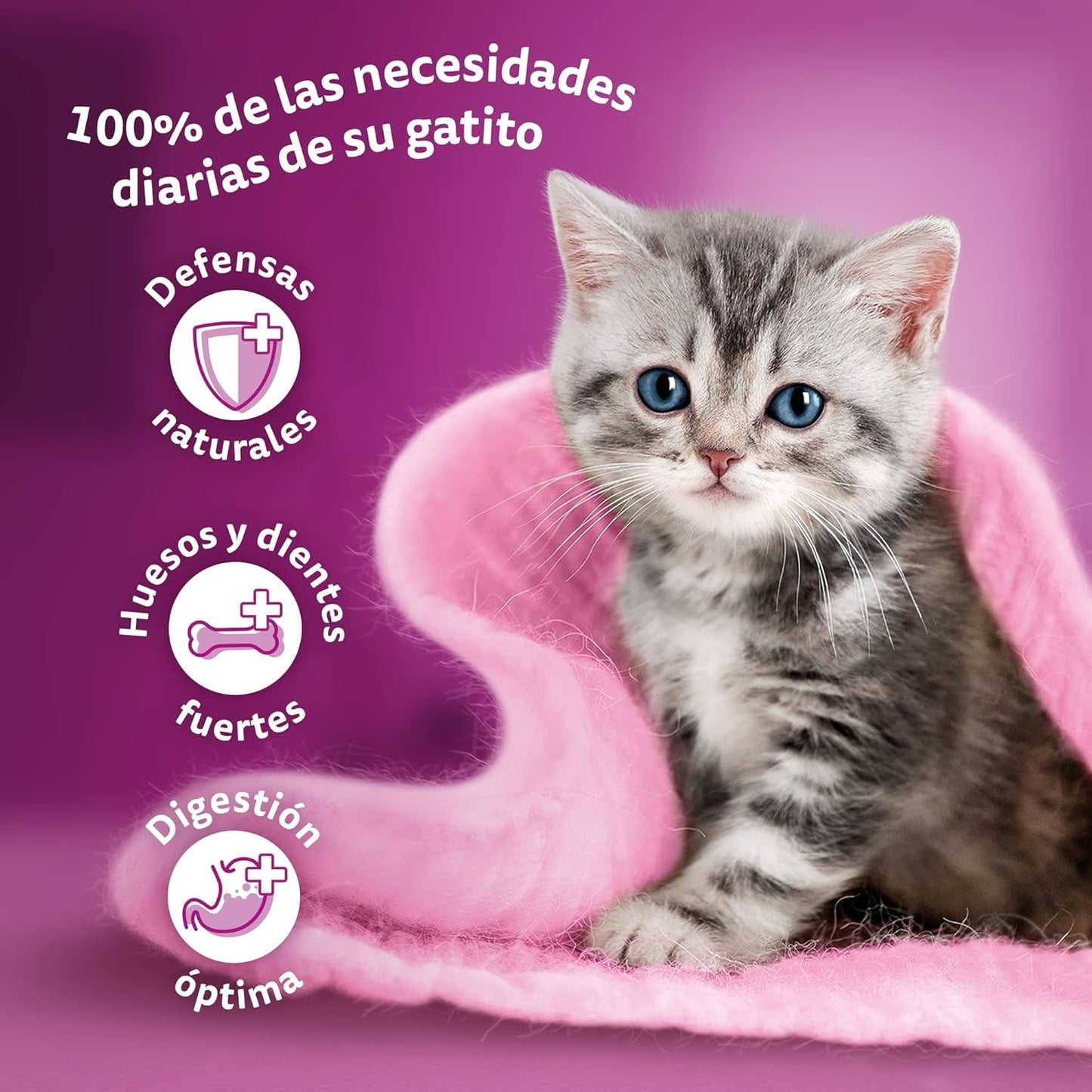 Hrană umedă pentru pisici Whiskas, Junior Classic, 13 x 4 x 85 g