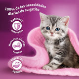 Hrană umedă pentru pisici Whiskas, Junior Classic, 13 x 4 x 85 g