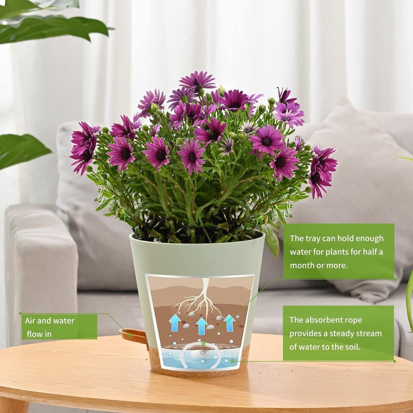 Ghivece de flori, 6 bucăți, 12,7 cm, jardiniere cu auto-udare, drenaj ridicat, ghivece de flori pentru interior și exterior, cu tavă rezervor și margine de udare, jardinieră de grădină, grădină