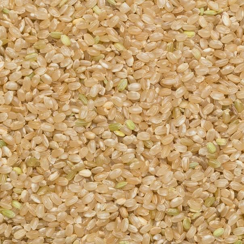 Orez brun cu bob scurt Wholefood Earth - fără OMG - natural - vegan - fără lactate - fără zahăr adăugat, 3 kg