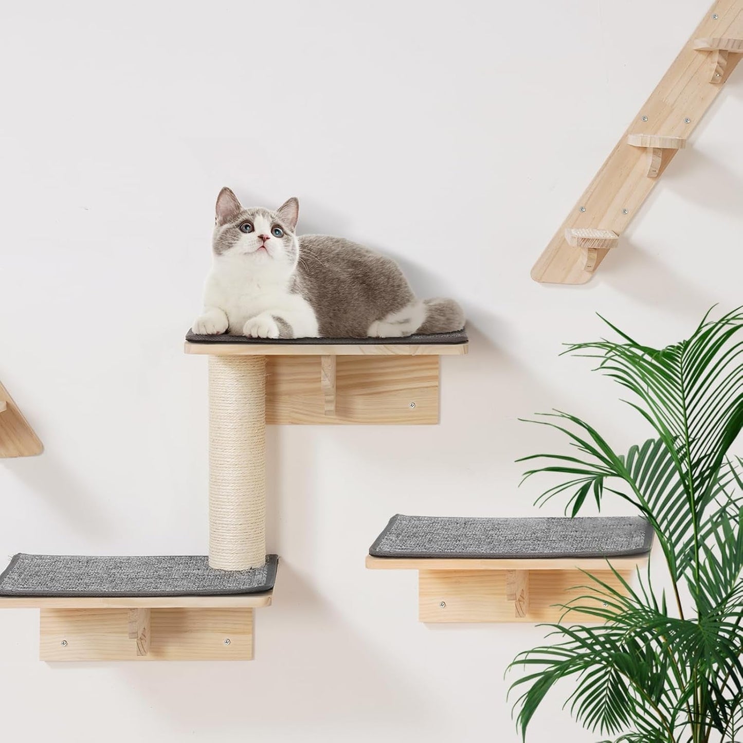 Pături & Mobilier, Pet, Pisici, Paturi Pisici, Pisici - culcusuri, saltele