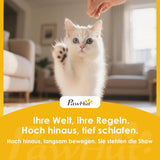 Paturi & Canapele, Pături & Mobilier, Animale de companie, Pisici, Paturi pentru pisici, Pisici - culcusuri, saltele