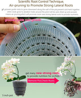 Ghivece pentru orhidee cu găuri de drenaj pentru transplantare, circulație excelentă a aerului, 2 bucăți, plastic cu strat dublu, jardinieră ceramică pentru orhidee, ghiveci transparent pentru orhidee, decorativ