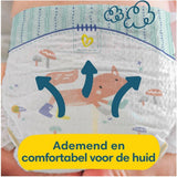 Pampers Premium Protection Mărimea 6, 74 scutece, 13 kg+, numărul 1 pentru confort și protecție a pielii sensibile