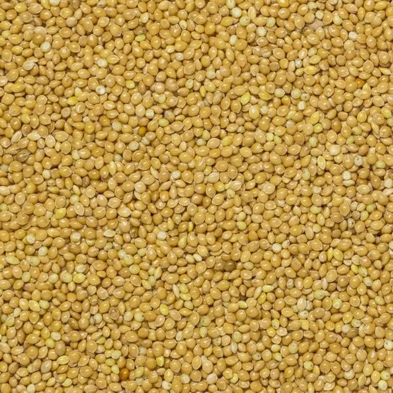 Boabe de mei integrale Earth - fără OMG - naturale - vegane - fără lactate - fără zahăr adăugat - 1 kg