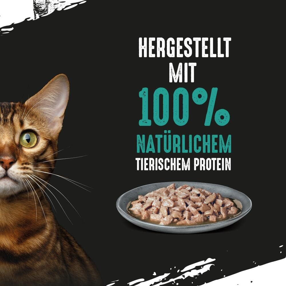 CRAVE Katze Portionsbeutel Multipack Sauce mit Thunfisch 13 x 4x85g