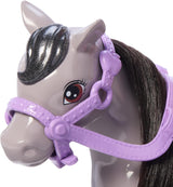 Barbie Chelsea And Pony Păpușă și ponei - încalecă în timpul jocului pentru a sta în siguranță pe cal, șa roz și tije, include cască și rochie drăguță în carouri, pentru copii de la 3 ani, HTK29 Papusi Naty Shop