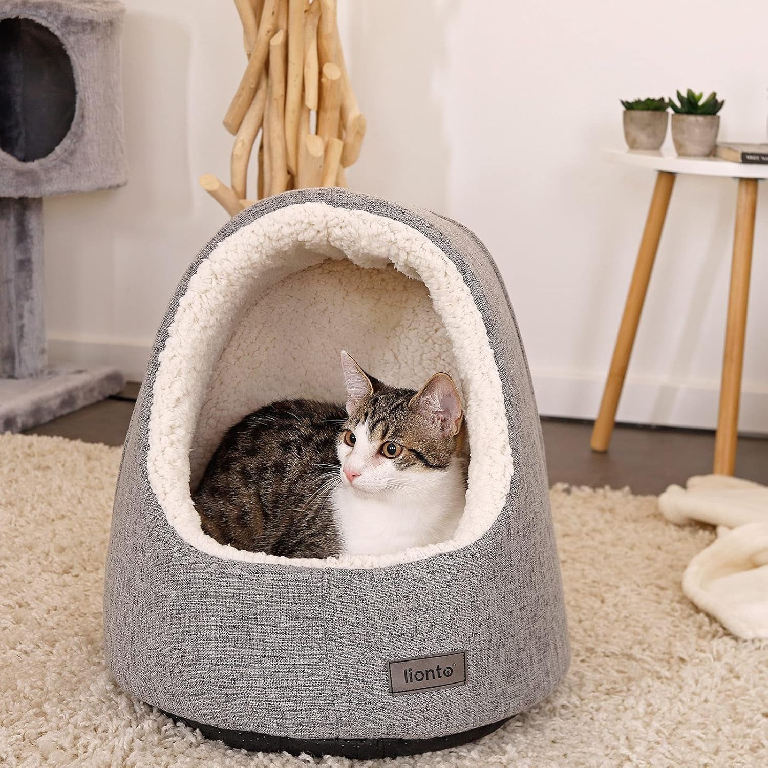 Pături & Mobilier, Animale de companie, Peșteri & Case, Pisici, Paturi pentru pisici, Pisici - culcusuri, saltele
