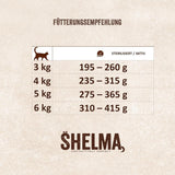 Shelma Hrană umedă pentru pisici Megapack cu carne de vită, curcan, pui și rață – Hrană completă fără cereale cu conținut ridicat de carne – 40 x 85 g (3,4 kg)