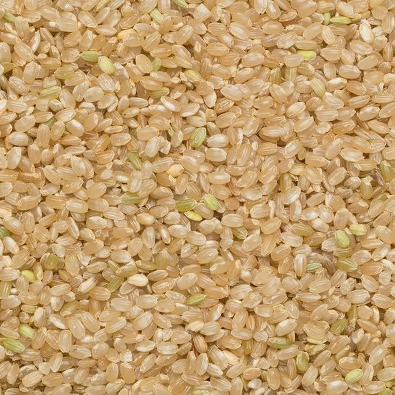 Orez brun cu bob scurt Wholefood Earth - fără OMG - natural - vegan - fără lactate - fără zahăr adăugat, 2 kg