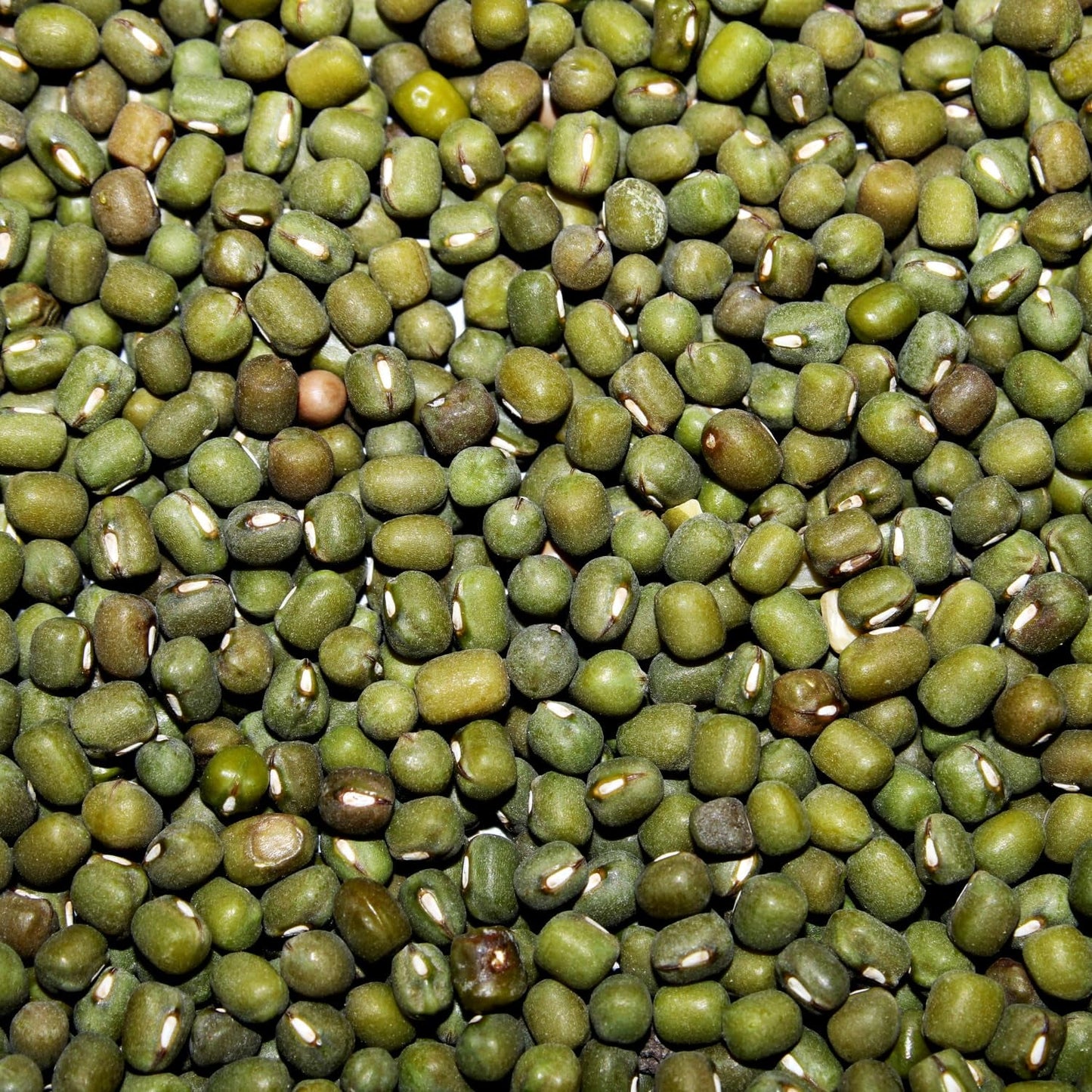 AFROASE - Fasole verde mung - 1 x 1 kg