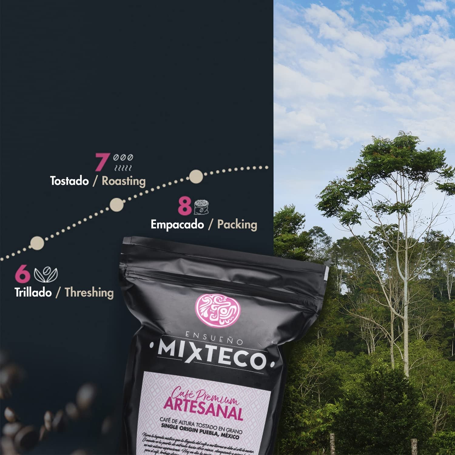 Boabe de cafea Arabica prăjite | 500 g | cu note de cacao și migdale | De la o prăjitorie tradițională de cafea | Gust delicat