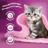Hrană umedă pentru pisici Whiskas, Junior Classic, 13 x 4 x 85 g