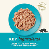 Applaws Cat Pouch Tuna Fillet in Jelly 1x(16x70g)
