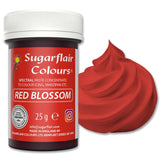 Pastă de colorant alimentar Sugarflair Grafit, colorant alimentar spectral concentrat pentru cremă de unt, pastă de zahăr, glazură, mixuri pentru prăjituri, macarons și multe altele! - 25g