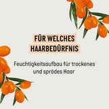 Guhl Fresh & Fruity Shampoo - Conținut: 250 Ml - Tipul de păr: Normal Duș și baie Guhl