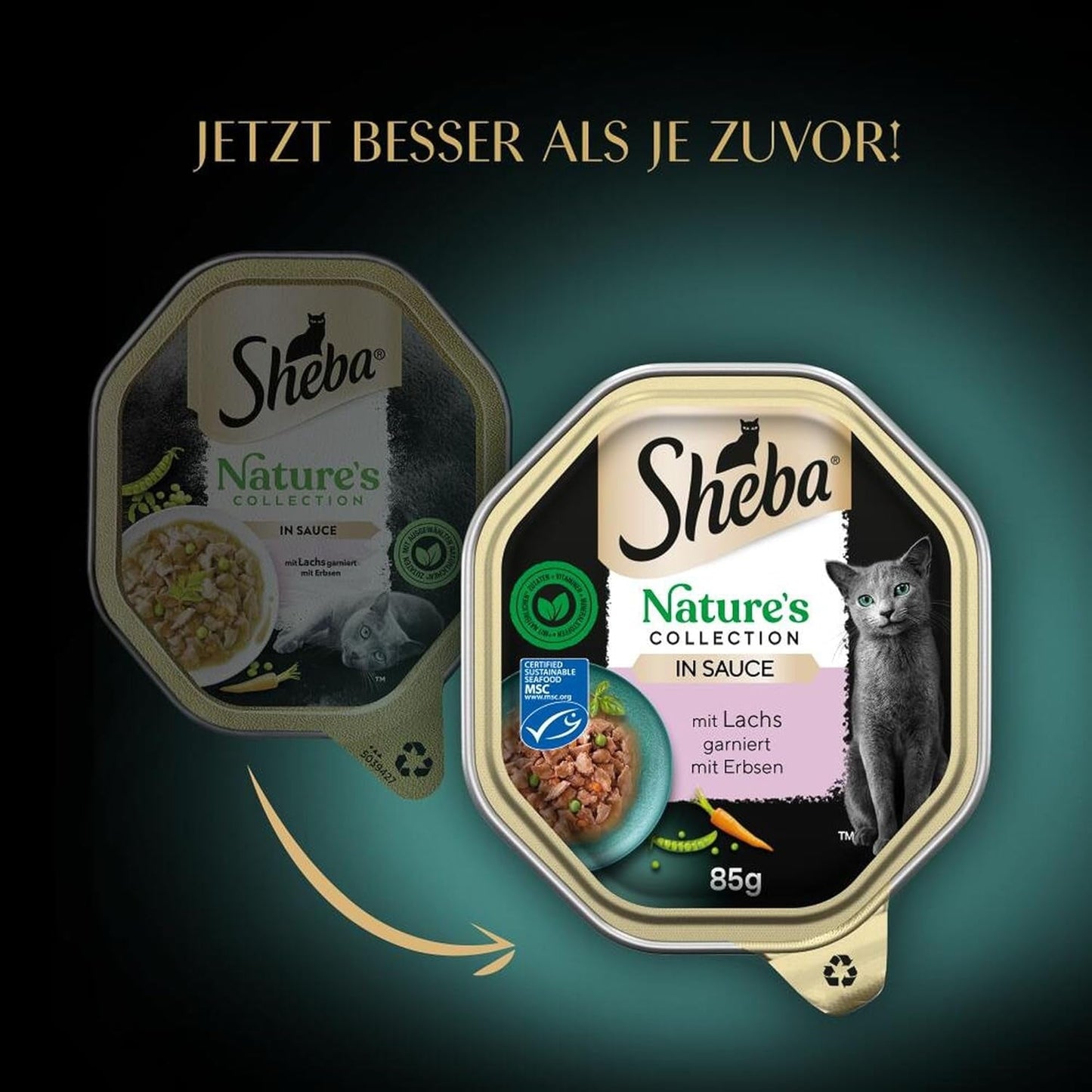 Hrană umedă pentru pisici SHEBA, Colecția Nature's în sos cu somon, 2 x 11 x 85g